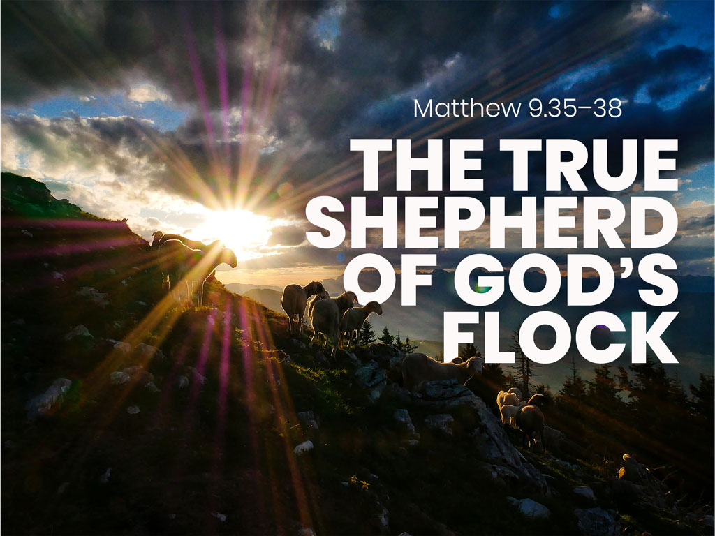 The True Shepherd of God’s Flock