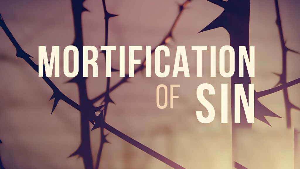 Mortification of Sin, pt. 2