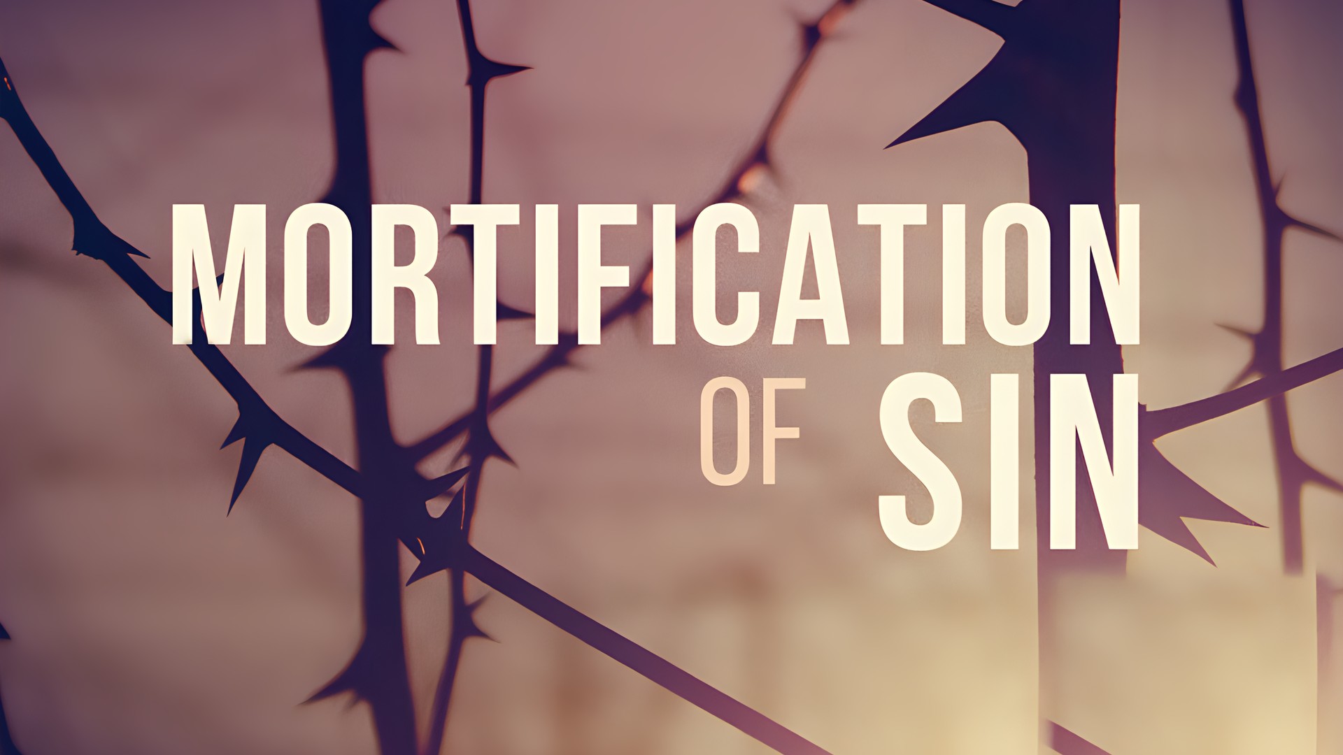 Mortification of Sin, pt. 2